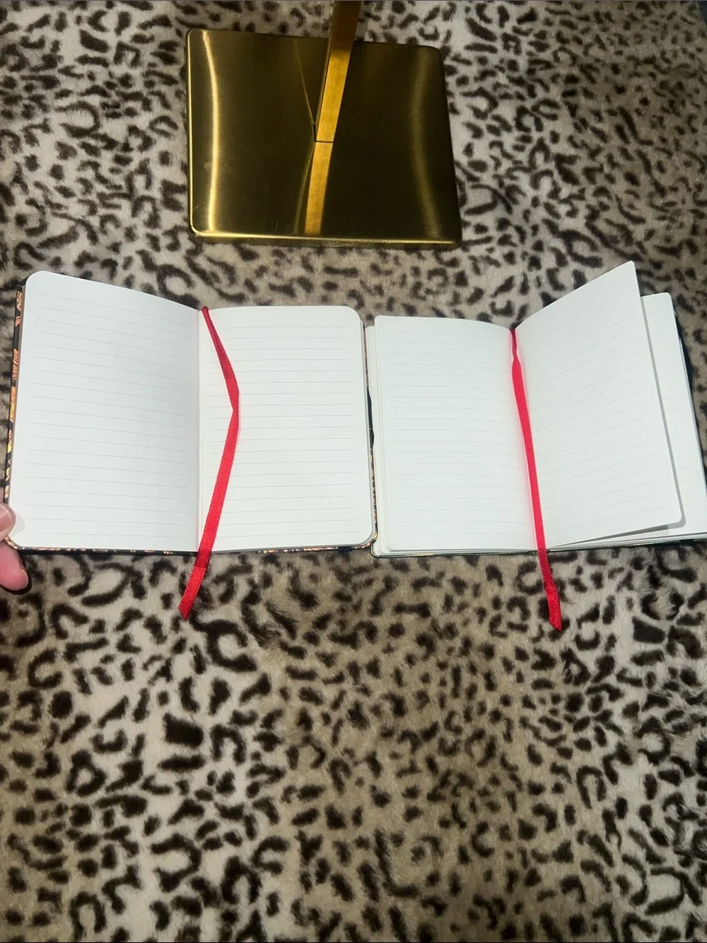 Paperblanks Mini Hardcover Journals (2)